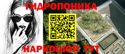 spice Волгодонск