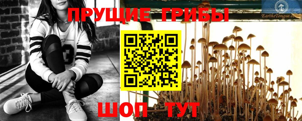 Псилоцибиновые грибы Cubensis  Вход с VPN  Псилоцибиновые грибы Psilocybe  Саров 