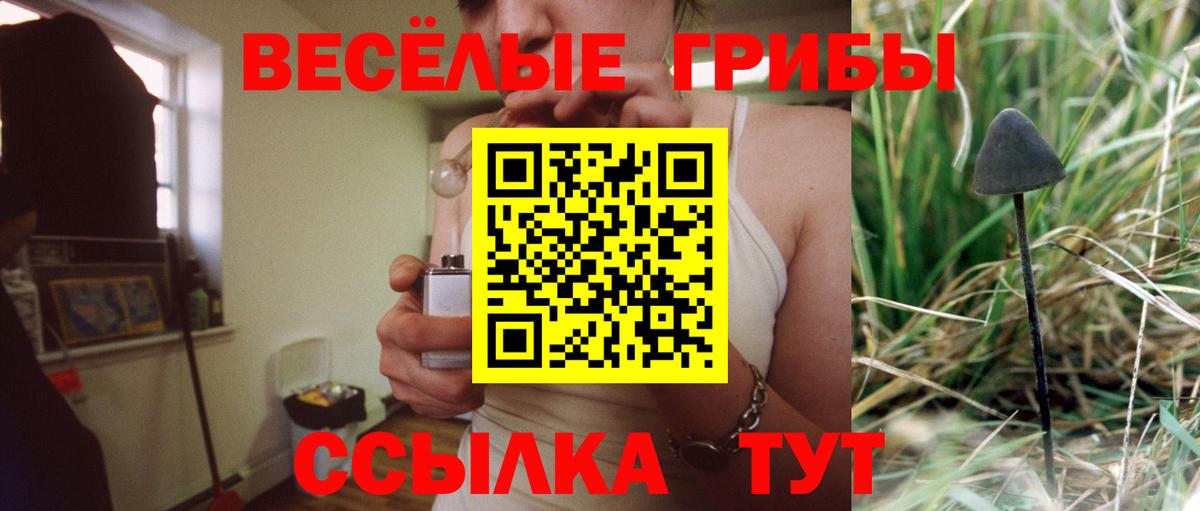 Псилоцибиновые грибы мицелий Саров